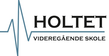 Logo holtet